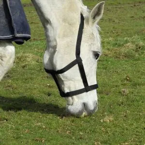 Rhinegold Field Safe Headcollar - Birdham Animal Feeds