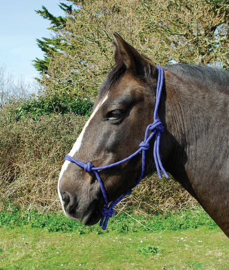 Rhinegold Rope Halter - Birdham Animal Feeds