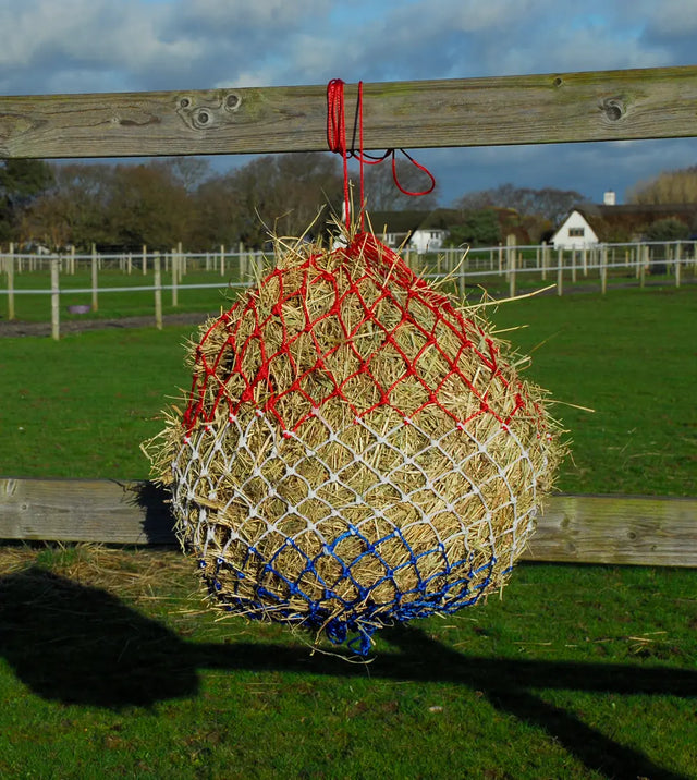 Rhinegold Monarch Small Hole Haynet - Birdham Animal Feeds