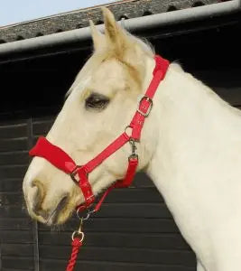 Rhinegold Comfort Headcollar and Rope Set - Birdham Animal Feeds