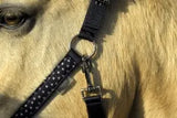 Rhinegold Star Spangled Headcollar & Rope Set - Birdham Animal Feeds