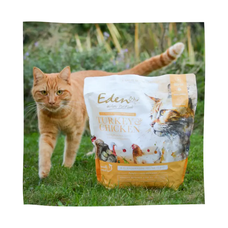 Eden Turkey and Chicken Cat Food Eden