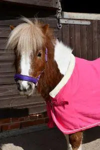 Rhinegold Unicorn Embroidered Fleece Rug - Birdham Animal Feeds