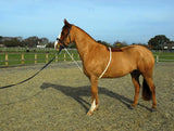 Rhinegold Soft Lunge Aid - Birdham Animal Feeds
