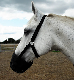 Rhinegold Grazing Muzzle - Birdham Animal Feeds