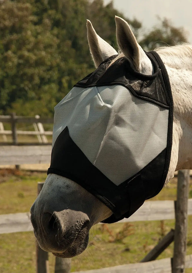Rhinegold Fly Mask Without Ears - Birdham Animal Feeds