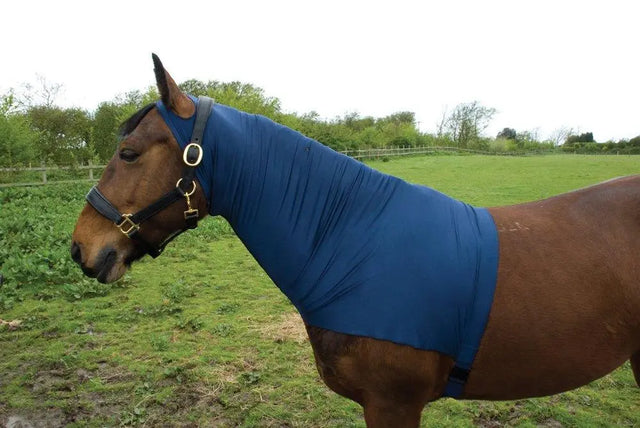 Rhinegold Satin Lycra Stretch Neck Cover - Birdham Animal Feeds