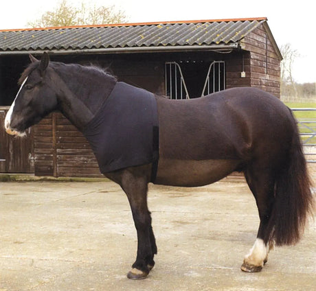 Rhinegold Satin Lycra Stretch Vest - Birdham Animal Feeds