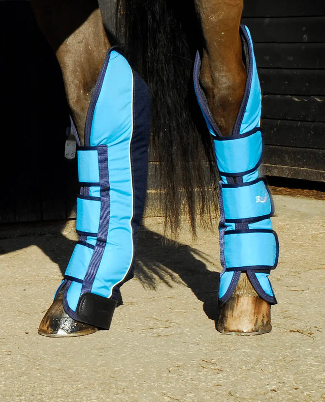Rhinegold Elite Full Length Travel Boots - Birdham Animal Feeds