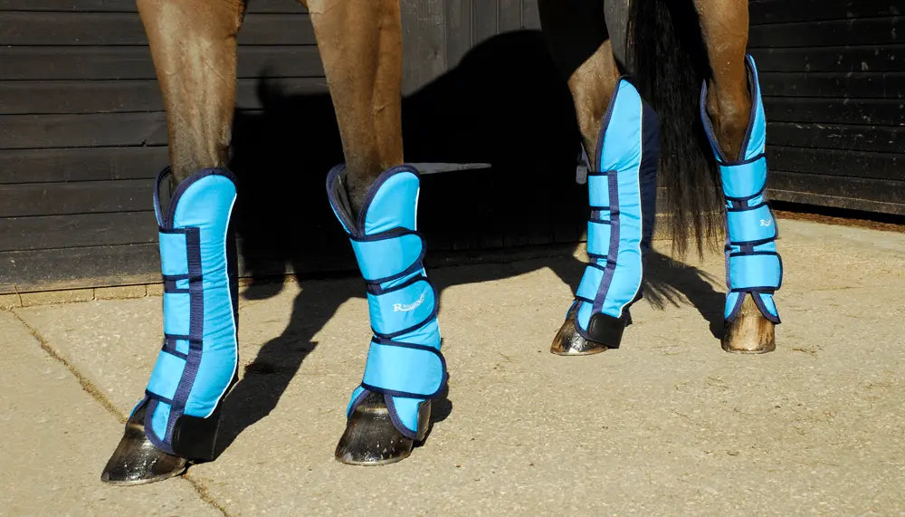 Rhinegold Elite Full Length Travel Boots - Birdham Animal Feeds