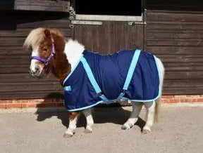 Rhinegold Mini Summer Sheet - Birdham Animal Feeds