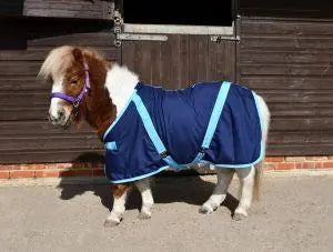 Rhinegold Mini Summer Sheet - Birdham Animal Feeds