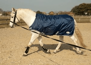 Rhinegold Horsewalker/Lunge Rug - Birdham Animal Feeds