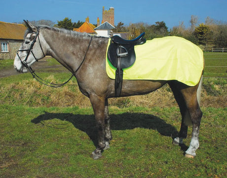 Rhinegold 3/4 Waterproof Ride On - Birdham Animal Feeds