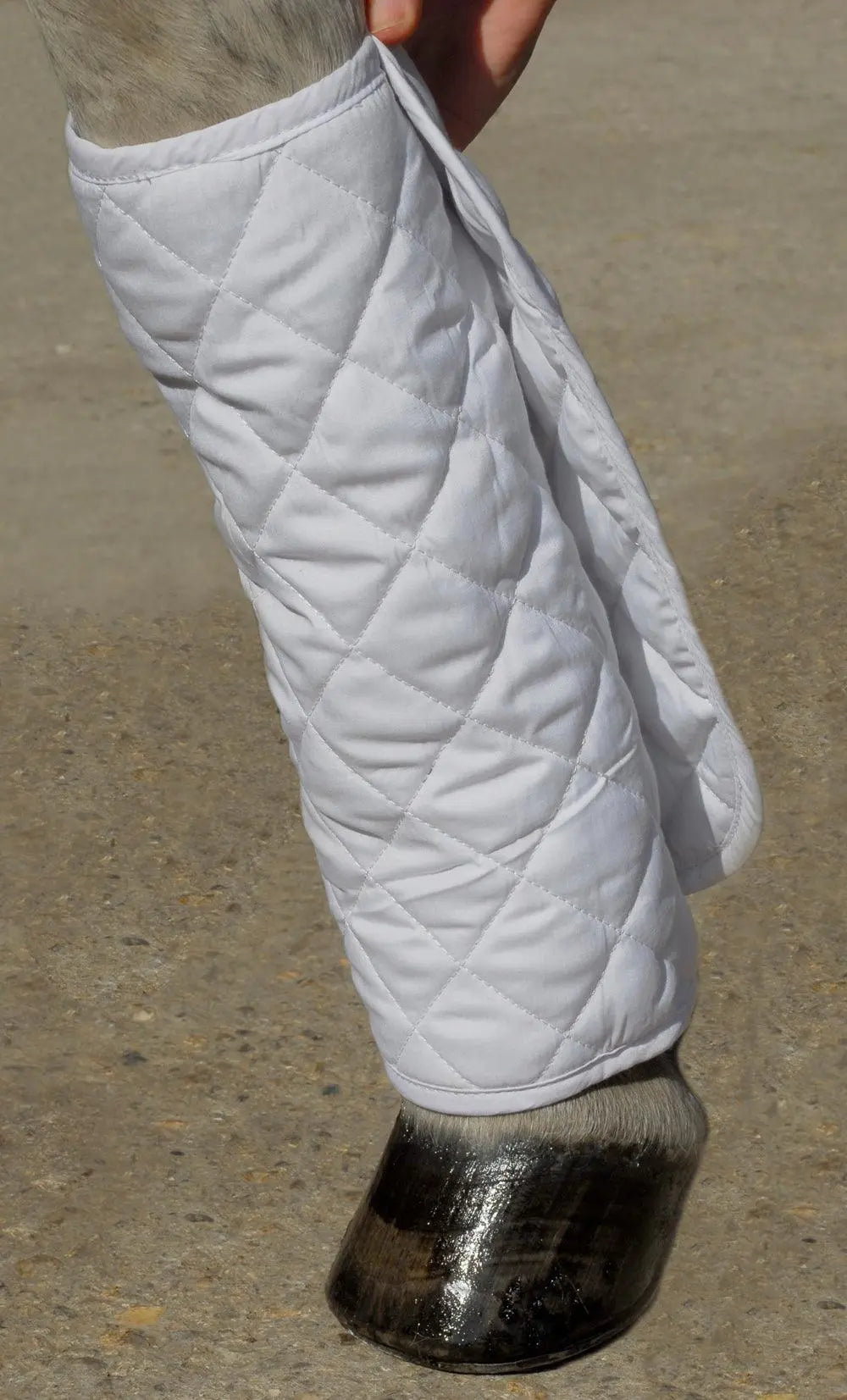 Rhinegold Quilted Leg Wraps - Birdham Animal Feeds