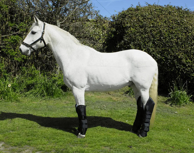 Rhinegold Full Length Travel Boots - Birdham Animal Feeds