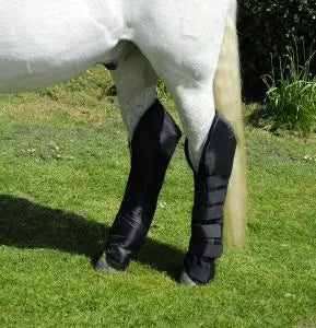 Rhinegold Full Length Travel Boots - Birdham Animal Feeds
