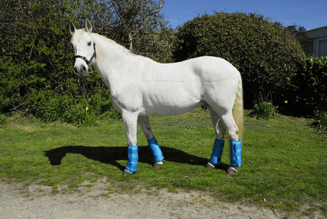 Rhinegold Elite Half Length Travel Boots - Birdham Animal Feeds