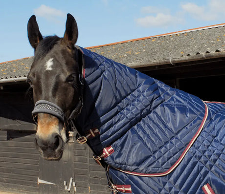 Rhinegold Dallas Chevron Neck Cover - Birdham Animal Feeds