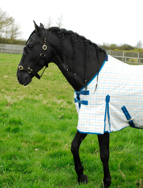 Rhinegold Maui Check Summer Sheet - Birdham Animal Feeds