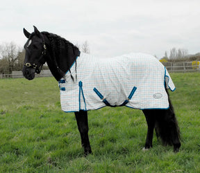 Rhinegold Maui Check Summer Sheet - Birdham Animal Feeds
