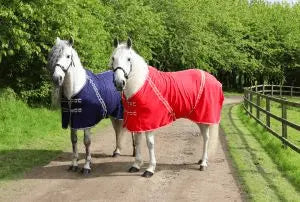 Rhinegold Comfy Fleece Rug - Birdham Animal Feeds