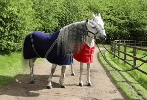 Rhinegold Comfy Fleece Rug - Birdham Animal Feeds