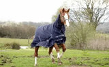 Rhinegold Full Neck Arizona Outdoor Rug - Birdham Animal Feeds