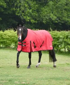 Rhinegold Konig Outdoor Rug - Birdham Animal Feeds