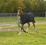 Rhinegold Foal Konig Outdoor Rug - Birdham Animal Feeds