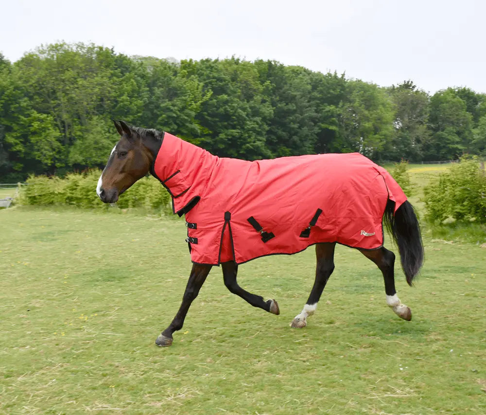 Rhinegold Full Neck Konig Combo Outdoor Rug - Birdham Animal Feeds
