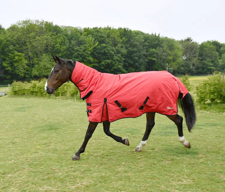 Rhinegold Full Neck Konig Combo Outdoor Rug - Birdham Animal Feeds