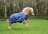 Rhinegold Atlanta Turnout Rug - Birdham Animal Feeds