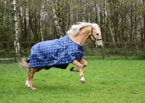 Rhinegold Atlanta Turnout Rug - Birdham Animal Feeds