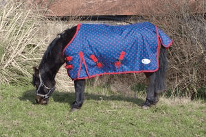 Rhinegold Dottie Foal Torrent Outdoor Rug - Birdham Animal Feeds