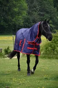 Rhinegold Full Neck Torrent Rug - Birdham Animal Feeds