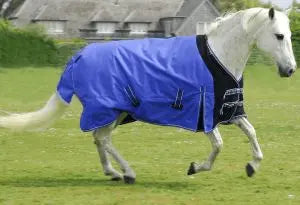 Rhinegold Elite Storm Rug with Neck Cover - Birdham Animal Feeds