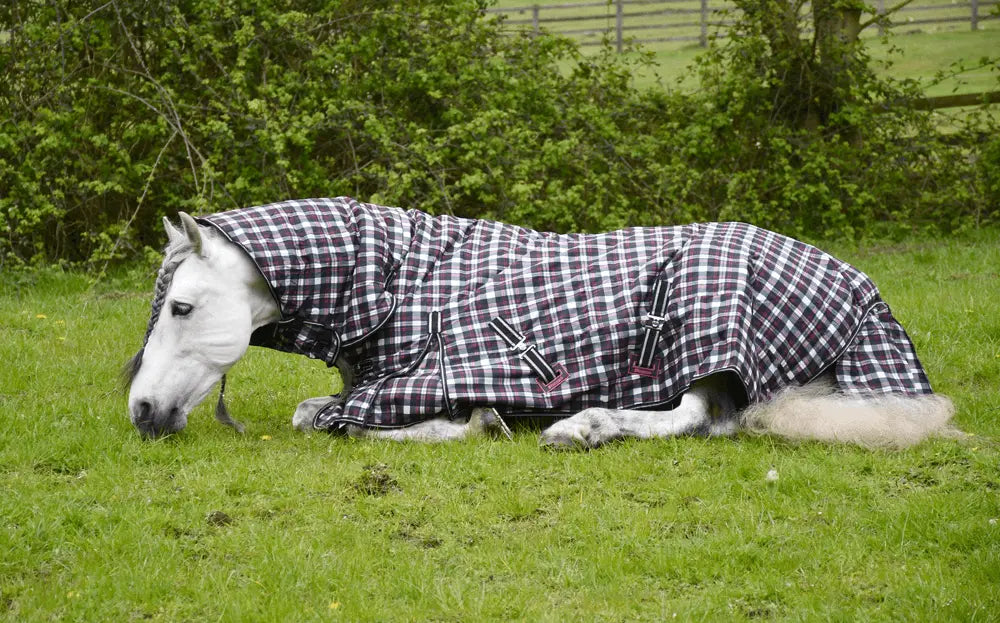 Rhinegold Glacier Combination Rug - Birdham Animal Feeds