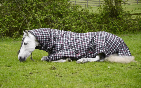 Rhinegold Glacier Combination Rug - Birdham Animal Feeds