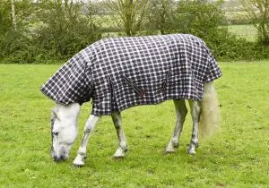 Rhinegold Glacier Combination Rug - Birdham Animal Feeds