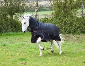 Rhinegold Aspen Outdoor Rug - Birdham Animal Feeds