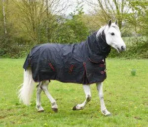 Rhinegold Aspen Outdoor Rug - Birdham Animal Feeds