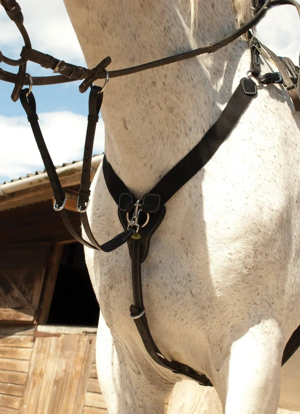 Rhinegold V-Check Elasticated Breastplate - Birdham Animal Feeds