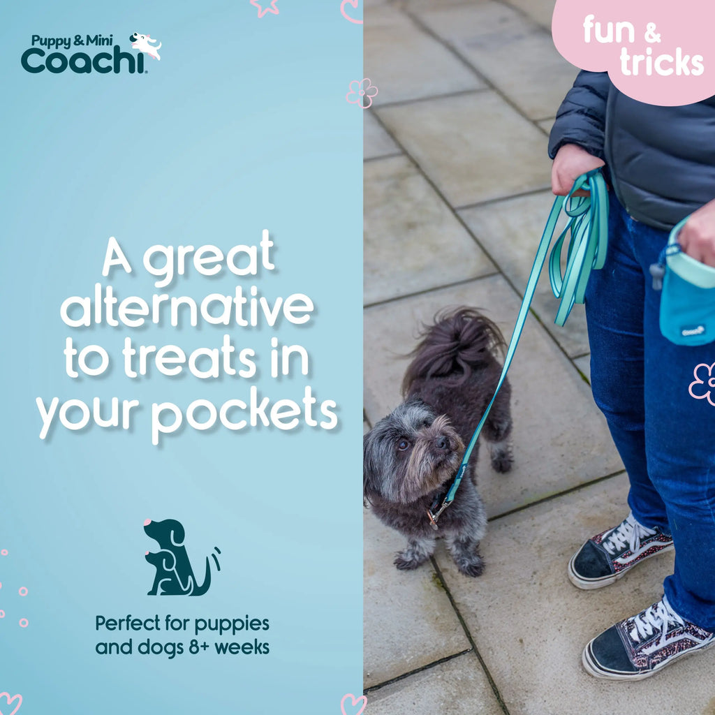 Coachi Treat Pouch Coachi