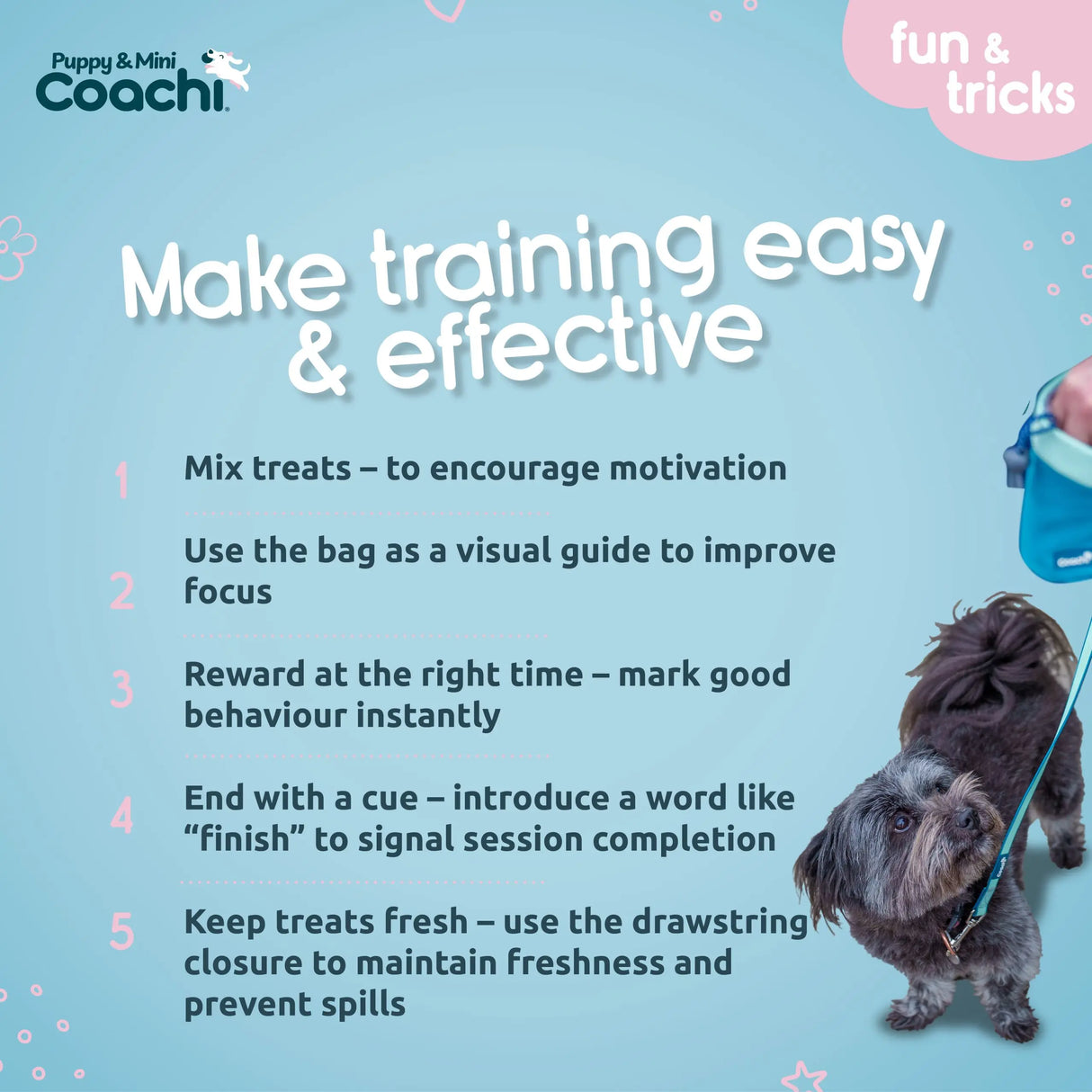 Coachi Treat Pouch Coachi