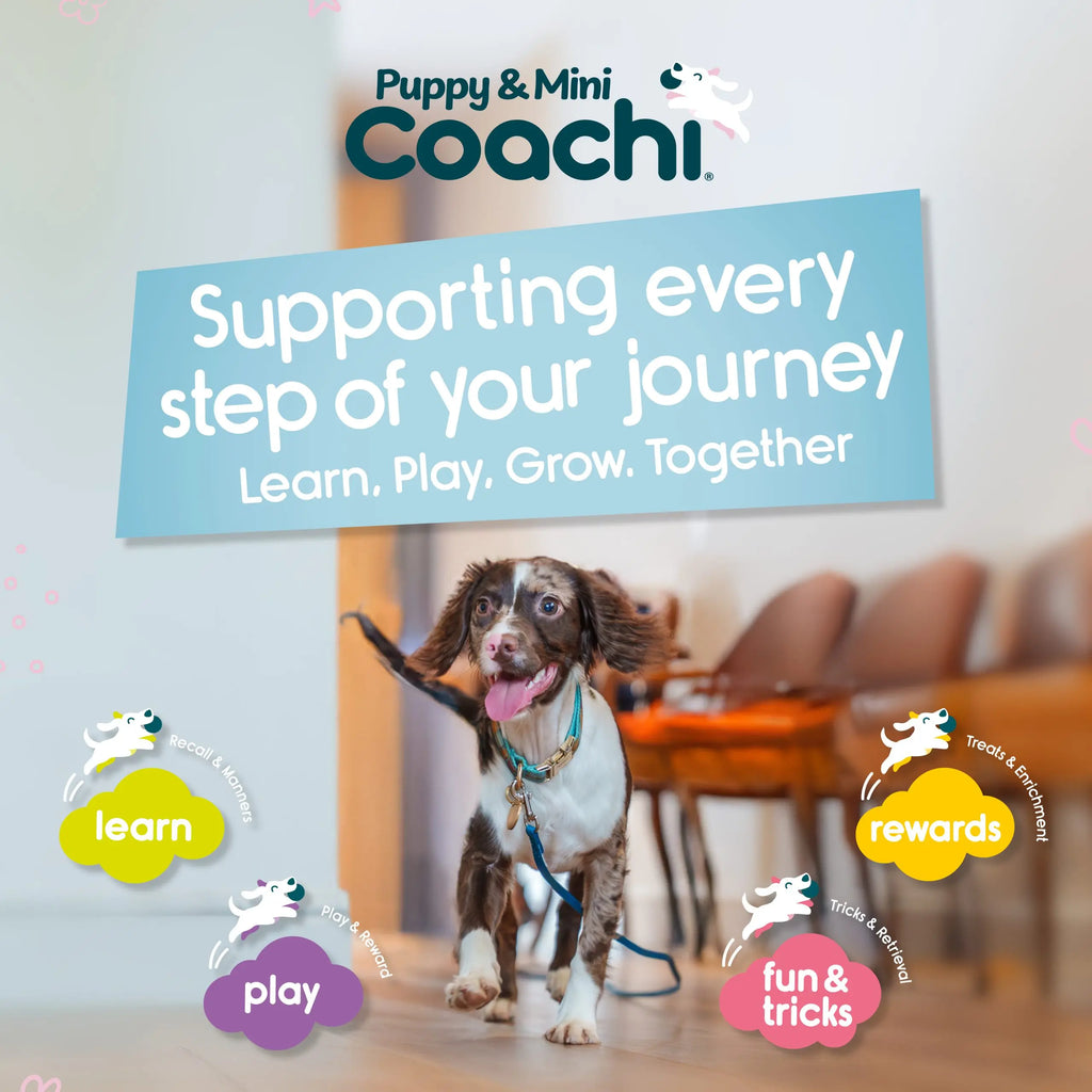 Coachi Treat Pouch Coachi