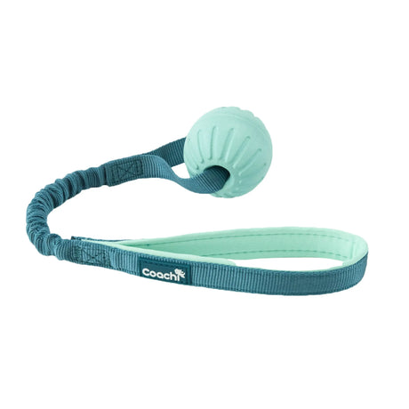 Coachi Puppy & Mini Tuggi Ball Coachi