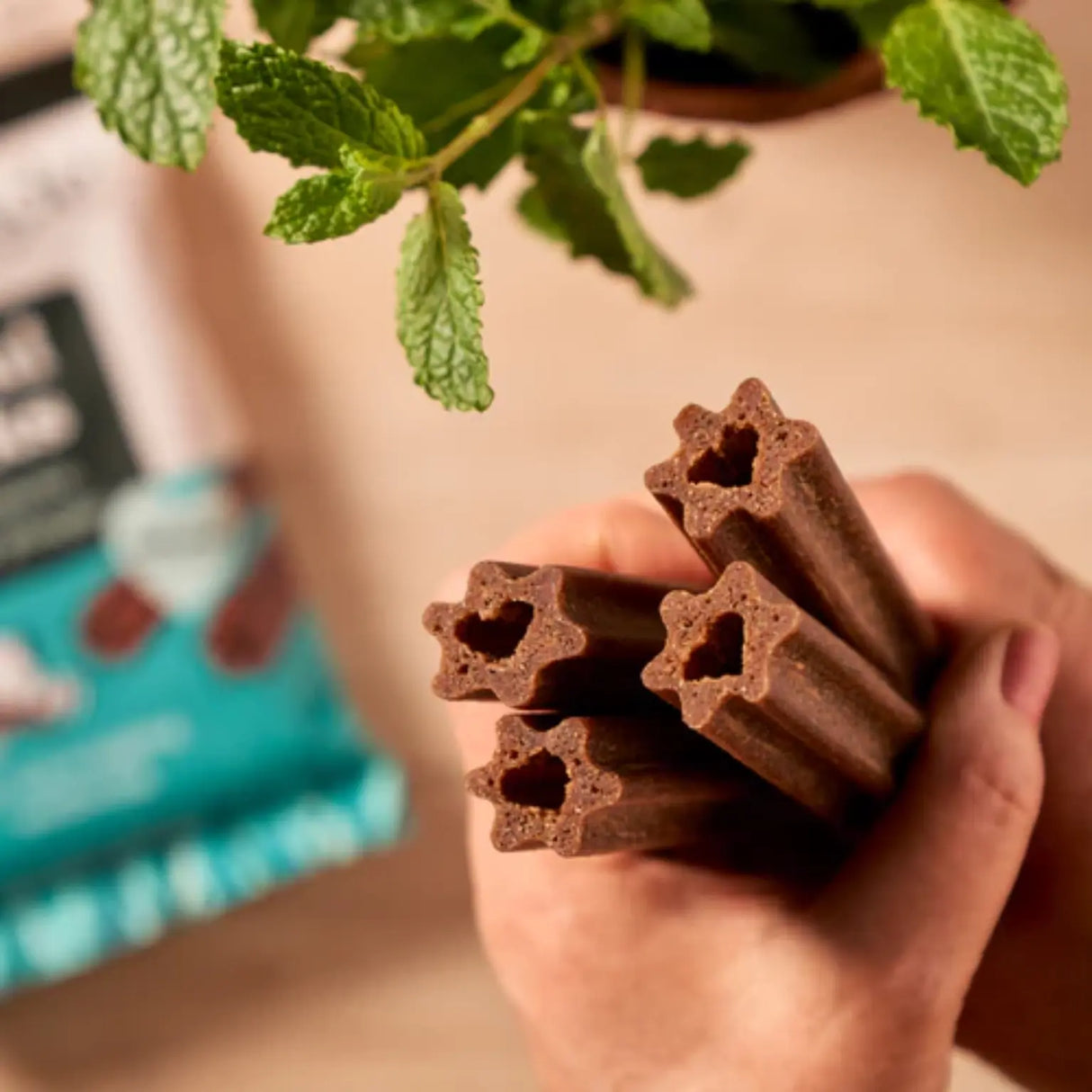 Forthglade Dental Sticks - Birdham Animal Feeds