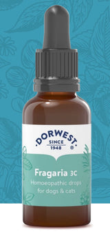 Dorwest Fragaria 3c 15ml Liquid