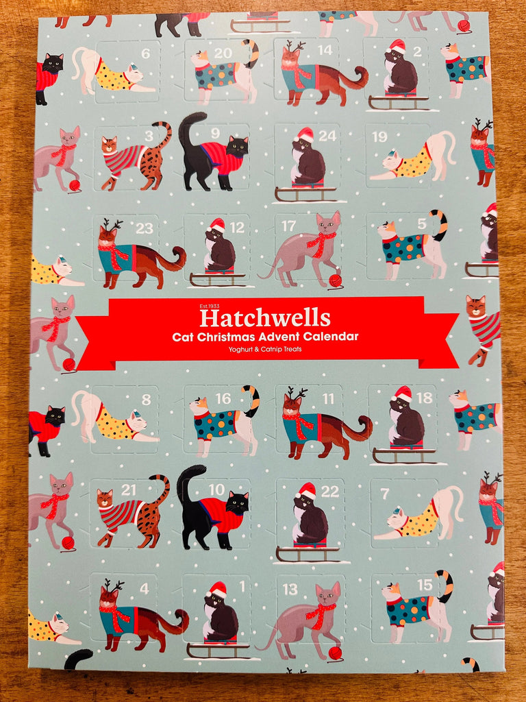 Hatchwells Cat Christmas Advent Calendar Hatchwells